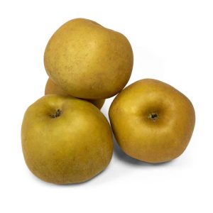 Manzana Tabardilla
